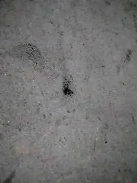 Snapshot of rickkis2k chatting on December 21, 2025, 11:05 pm rickkis2k online show from December 21, 2025, 11:05 pm