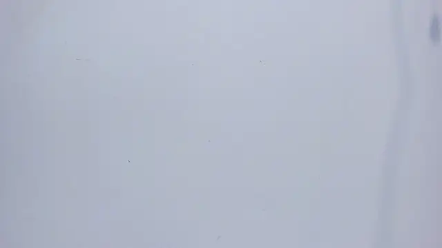 mirandaduboiss online show from April 13, 2026, 5:06 pm