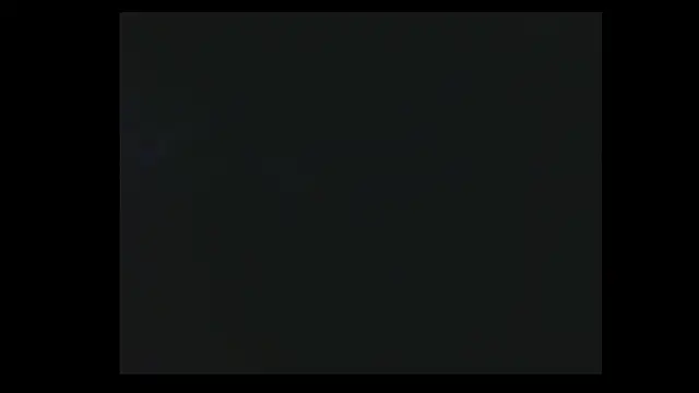 LissyM online show from February 24, 2026, 7:37 pm