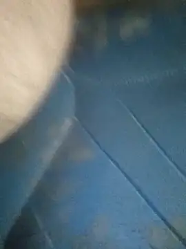 Morbosnif online show from November 4, 2025, 2:37 am