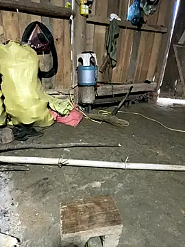 nachi-baby online show from December 21, 2025, 10:06 am