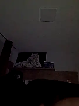 Snapshot of ursosvp chatting on November 24, 2025, 3:17 am ursosvp online show from November 24, 2025, 3:17 am