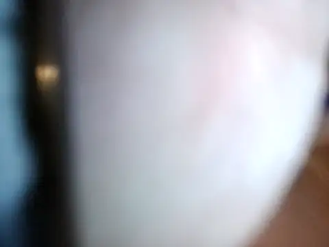 Snapshot of bestofbothworlds89 chatting on April 1, 2026, 6:48 am bestofbothworlds89 online show from April 1, 2026, 6:48 am