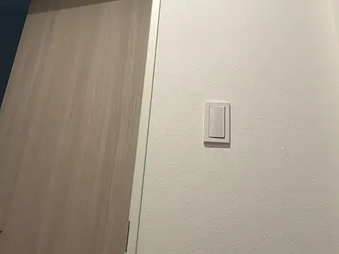 miku pipipi online show from November 9, 2025, 12:14 am