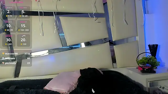 Snapshot of Genesis_ask chatting on November 17, 2025, 10:36 pm Genesis ask online show from November 17, 2025, 10:36 pm