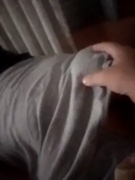 pampa4456 online show from November 23, 2025, 5:39 am