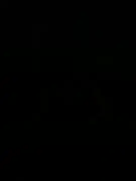 WildNour online show from April 1, 2026, 2:14 pm