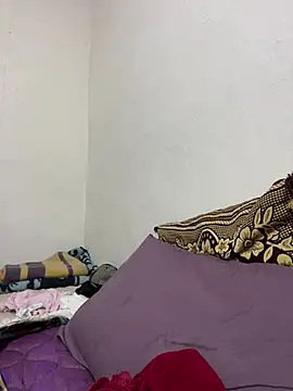 WildNour online show from February 9, 2026, 2:04 pm