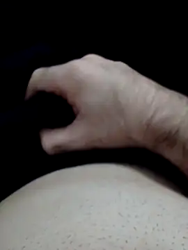 fe96 online show from November 11, 2025, 3:56 am