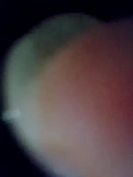 bella-la online show from March 4, 2026, 12:07 am