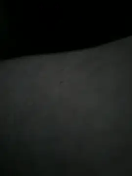 Snapshot of EchoVibe_86 chatting on March 11, 2026, 5:07 pm EchoVibe 86 online show from March 11, 2026, 5:07 pm