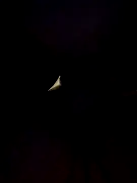 Snapshot of Cubanno chatting on November 1, 2025, 5:57 am Cubanno online show from November 1, 2025, 5:57 am