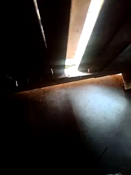 Pandey0012 online show from March 16, 2026, 12:09 pm