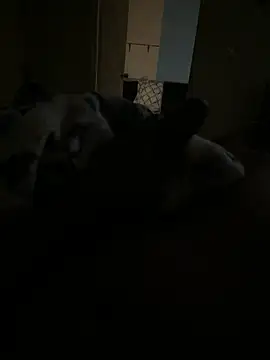 Trini2600 online show from November 11, 2025, 7:36 am