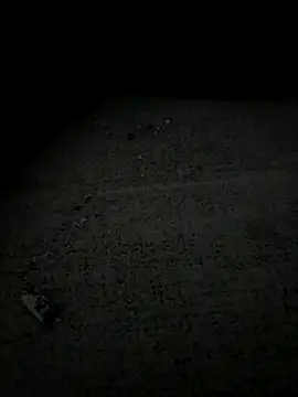 Donnatellalaamore online show from October 29, 2025, 3:27 am