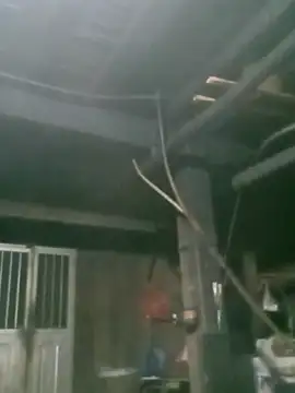 Snapshot of matbiec- chatting on November 19, 2025, 10:32 pm matbiec- online show from November 19, 2025, 10:32 pm