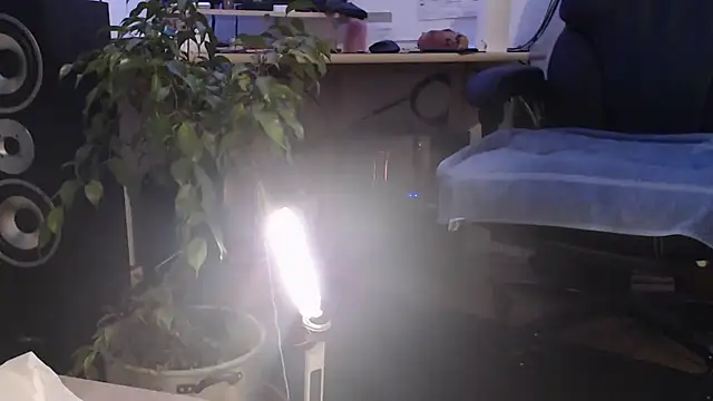 metalhead1970xh online show from February 8, 2025, 6:33 am