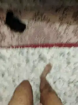 Your lover real online show from December 4, 2025, 7:02 pm