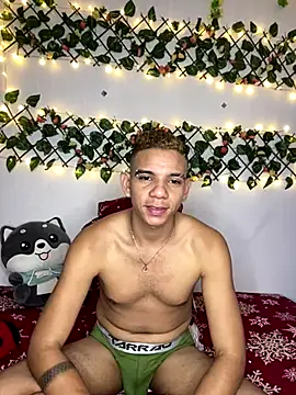 Dylams maja online show from November 30, 2025, 10:05 am