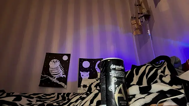 Snapshot of BootedRush chatting on November 7, 2025, 4:33 pm BootedRush online show from November 7, 2025, 4:33 pm