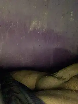 hotman29 online show from November 24, 2025, 8:53 pm