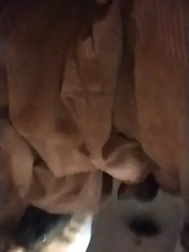 Snapshot of sexychd chatting on December 4, 2025, 3:05 am sexychd online show from December 4, 2025, 3:05 am