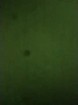 Snapshot of sexychd chatting on December 14, 2025, 4:51 am sexychd online show from December 14, 2025, 4:51 am