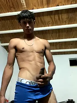 Snapshot of meliodas_23cm chatting on November 26, 2025, 2:33 am meliodas 23cm online show from November 26, 2025, 2:33 am