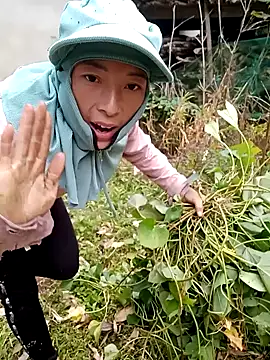 oanh-oanhbay online show from December 14, 2025, 2:40 am