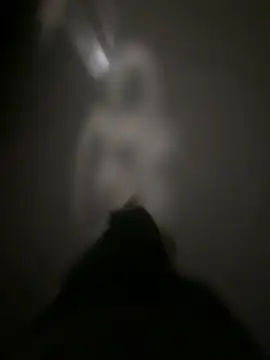 kameshwar11 online show from November 4, 2025, 5:50 pm