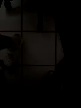 drpapi1942 online show from November 10, 2025, 6:02 pm