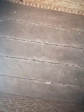 Chinki pande online show from November 15, 2025, 6:06 am