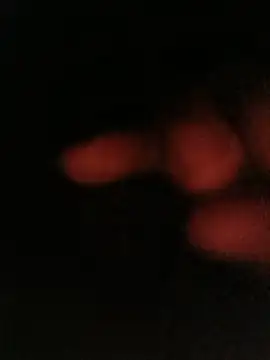 Snapshot of bruno_324278 chatting on May 10, 2026, 4:05 am bruno 324278 online show from May 10, 2026, 4:05 am