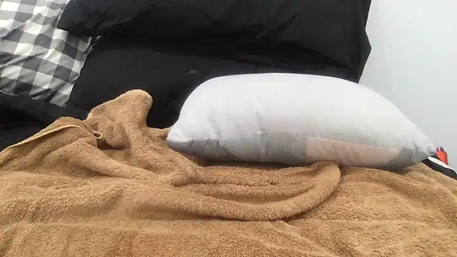 Pull N Tug1 online show from February 3, 2026, 5:18 pm