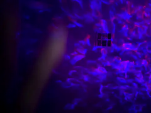 saorisins online show from November 14, 2025, 9:35 am