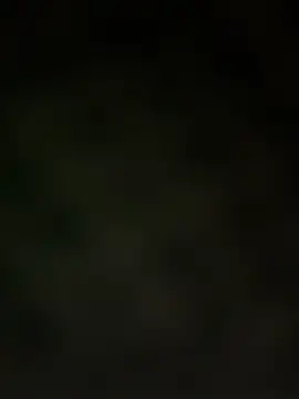 trickydickydaddy online show from March 13, 2026, 7:57 am