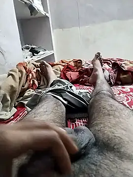 hyderabad single online show from January 18, 2026, 12:30 pm