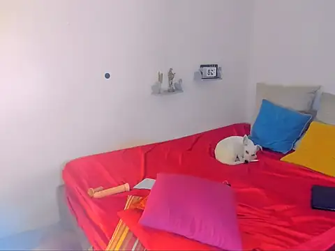 hotcassy online show from February 25, 2026, 9:58 pm