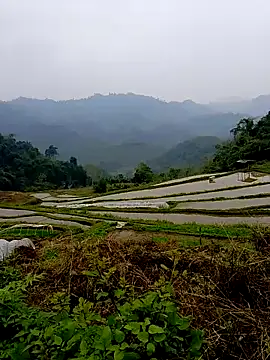 Cloud-wh online show from March 14, 2026, 2:39 am