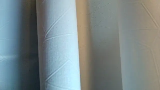 LilyFox t online show from November 11, 2025, 1:28 pm