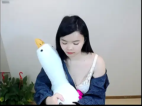 Shaurk online show from February 1, 2026, 3:49 am