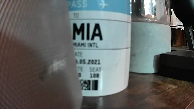 Chrisatmiami online show from November 12, 2025, 4:33 pm