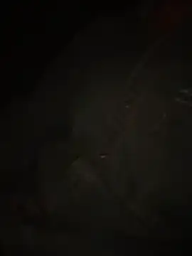 Snapshot of Dihotbi chatting on November 25, 2025, 12:55 am Dihotbi online show from November 25, 2025, 12:55 am