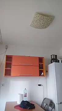 Snapshot of Dale_E chatting on January 28, 2025, 8:36 am Dale E online show from January 28, 2025, 8:36 am