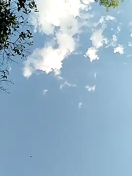 Snapshot of joselo2217 chatting on November 25, 2025, 9:15 pm joselo2217 online show from November 25, 2025, 9:15 pm