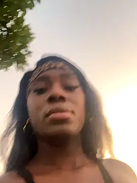 zyrastorm online show from November 30, 2025, 11:05 pm