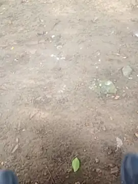 Jeison0323 online show from January 9, 2026, 8:49 pm