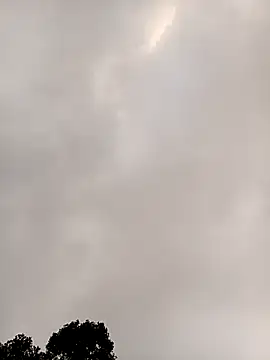 meomeo-00 online show from January 11, 2026, 12:28 am