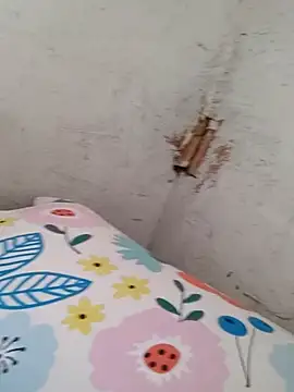 Snapshot of braidqueen00 chatting on December 20, 2025, 5:27 pm braidqueen00 online show from December 20, 2025, 5:27 pm