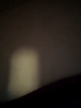 Snapshot of braidqueen00 chatting on February 11, 2026, 3:50 am braidqueen00 online show from February 11, 2026, 3:50 am